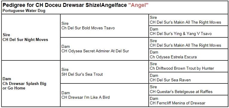 Pedigree Report Angel