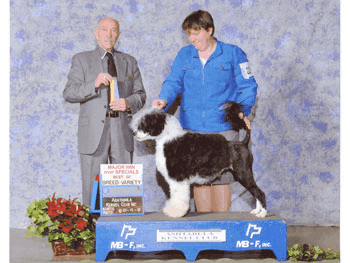 Best of Breed - Handler: Michele Hoelcle 